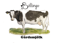logo_billingegard.se_web logo_billingegard.se_web